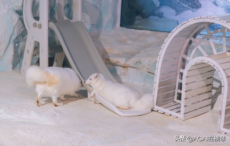 吃喝玩乐in珠海,珠海吃喝玩乐一体的地方