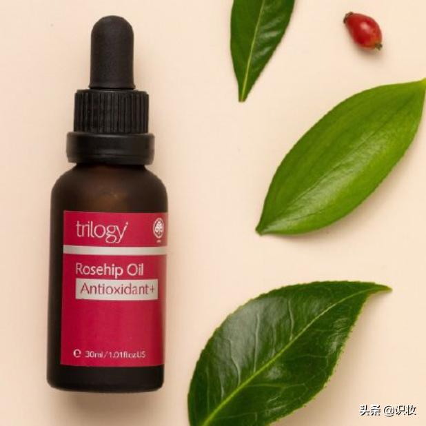 澳洲trilogy玫瑰果油新版 (trilogy玫瑰果油精华假货)