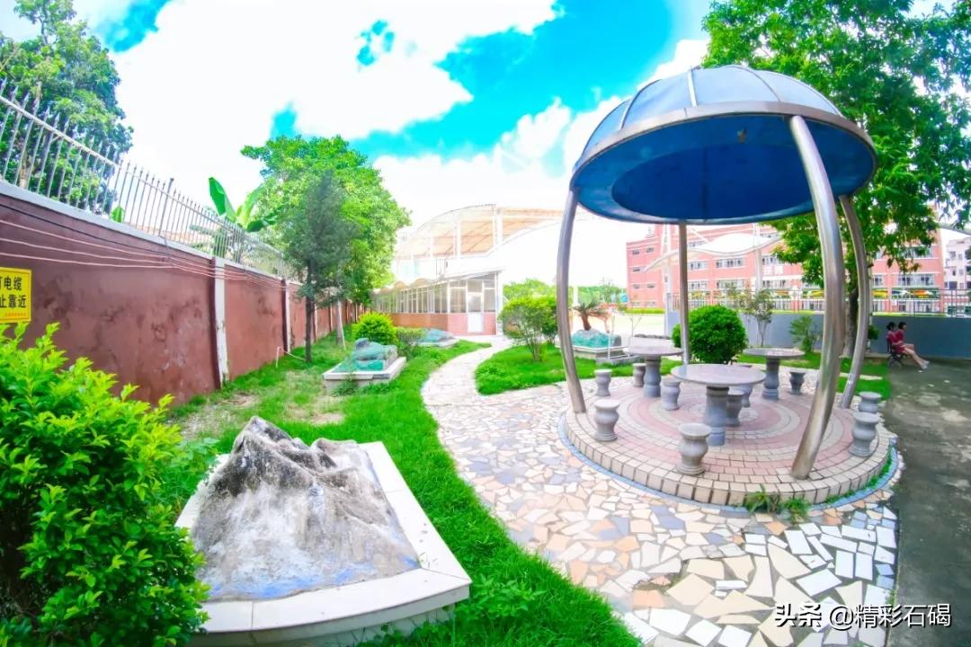 石碣四海学校排名,石碣四海小学招生简章