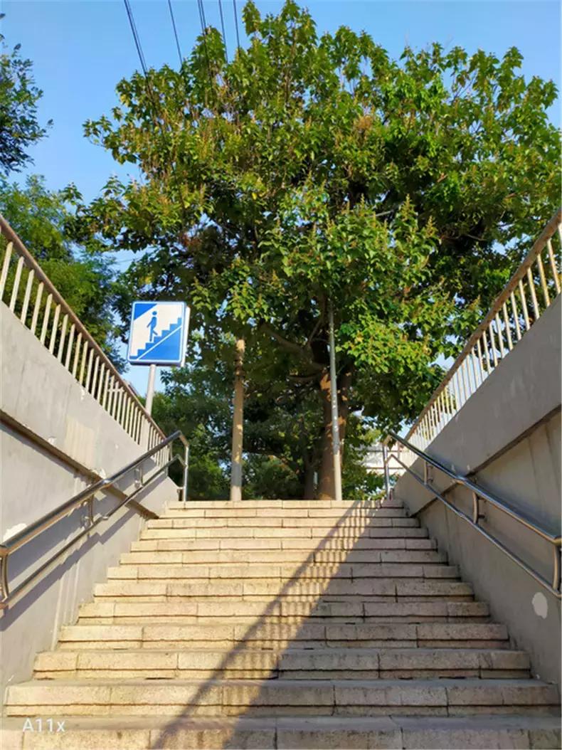 oppo绿厂新手机,oppoa11x到底值不值得入手