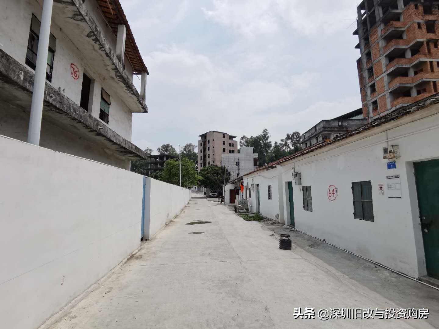 龙华观澜黎光旧村更新,绿景观澜黎光旧改进度