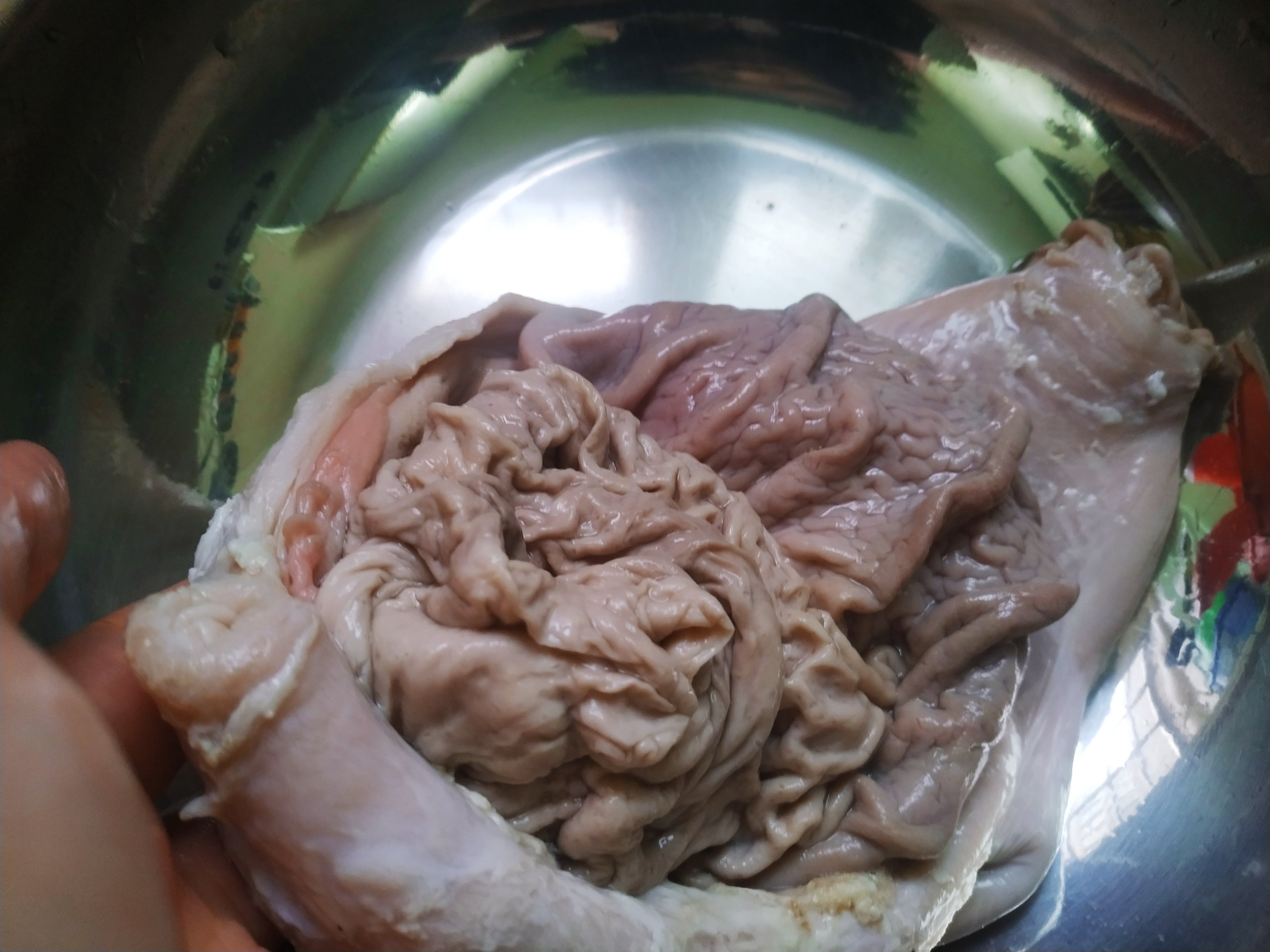 洗肥肠加什么好洗,猪肚猪肠如何焯水