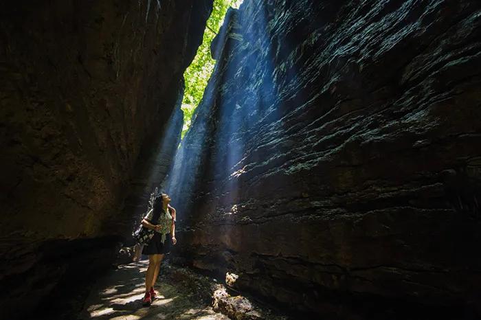 抱犊崮风景区高考门票免费,抱犊崮门票半价政策