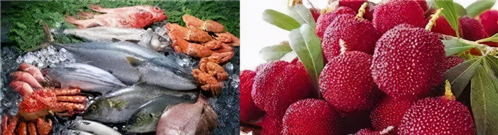 兰溪杨梅正式开摘！最强采摘攻略出炉，五十里杨梅长廊够吃吗？杨梅自由就是现在！