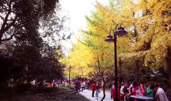 人民公园十大功能 (人民公园运动设施)