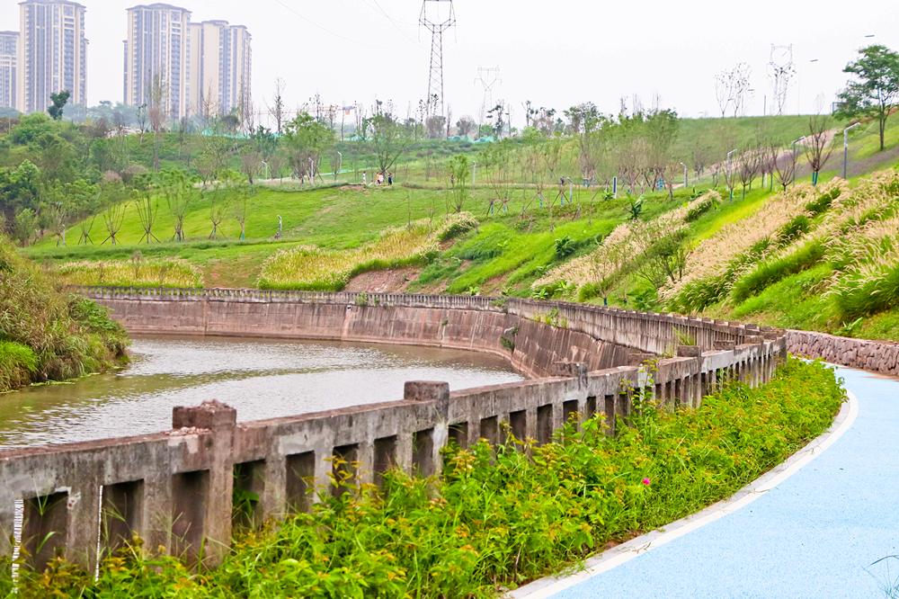 泸州新建的足球场有哪些,泸州大型公园