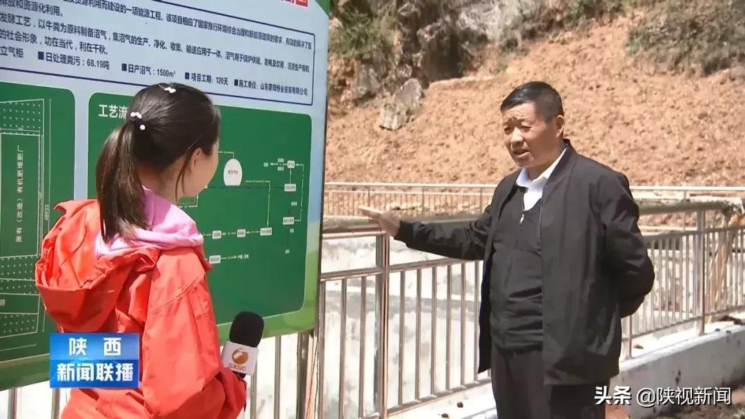 商洛山阳县这帮人对牛粪做了啥?竟比纯养牛多挣了10倍!