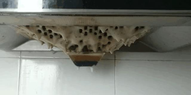 油烟机上的油污用什么洗得更干净,油烟机去油污最好的妙招