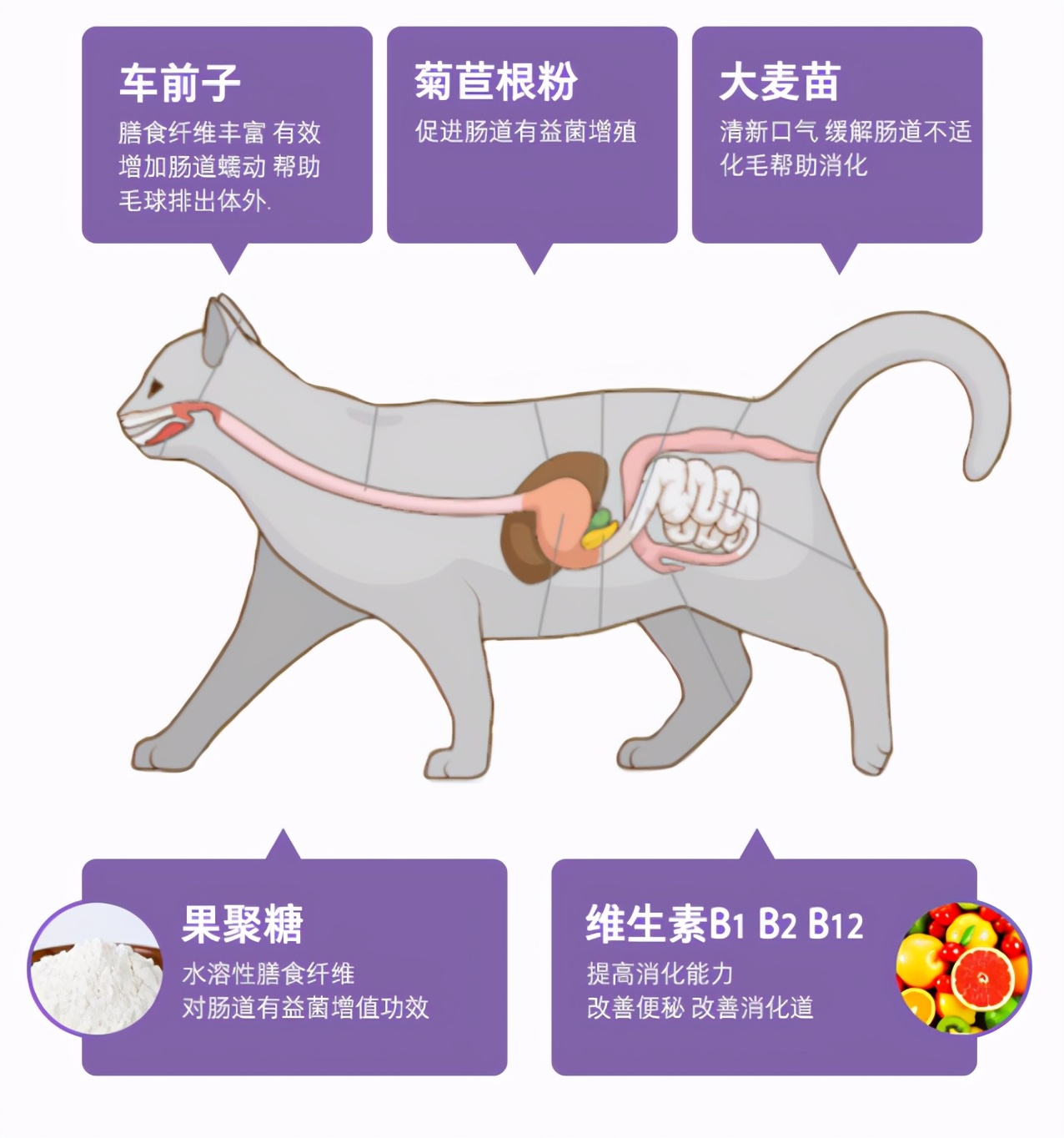 猫咪吐毛球用什么化毛膏,猫咪吐毛球了怎么办化毛膏