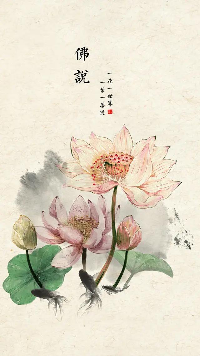 手机壁纸一花一世界一叶一菩提,一叶一菩提壁纸