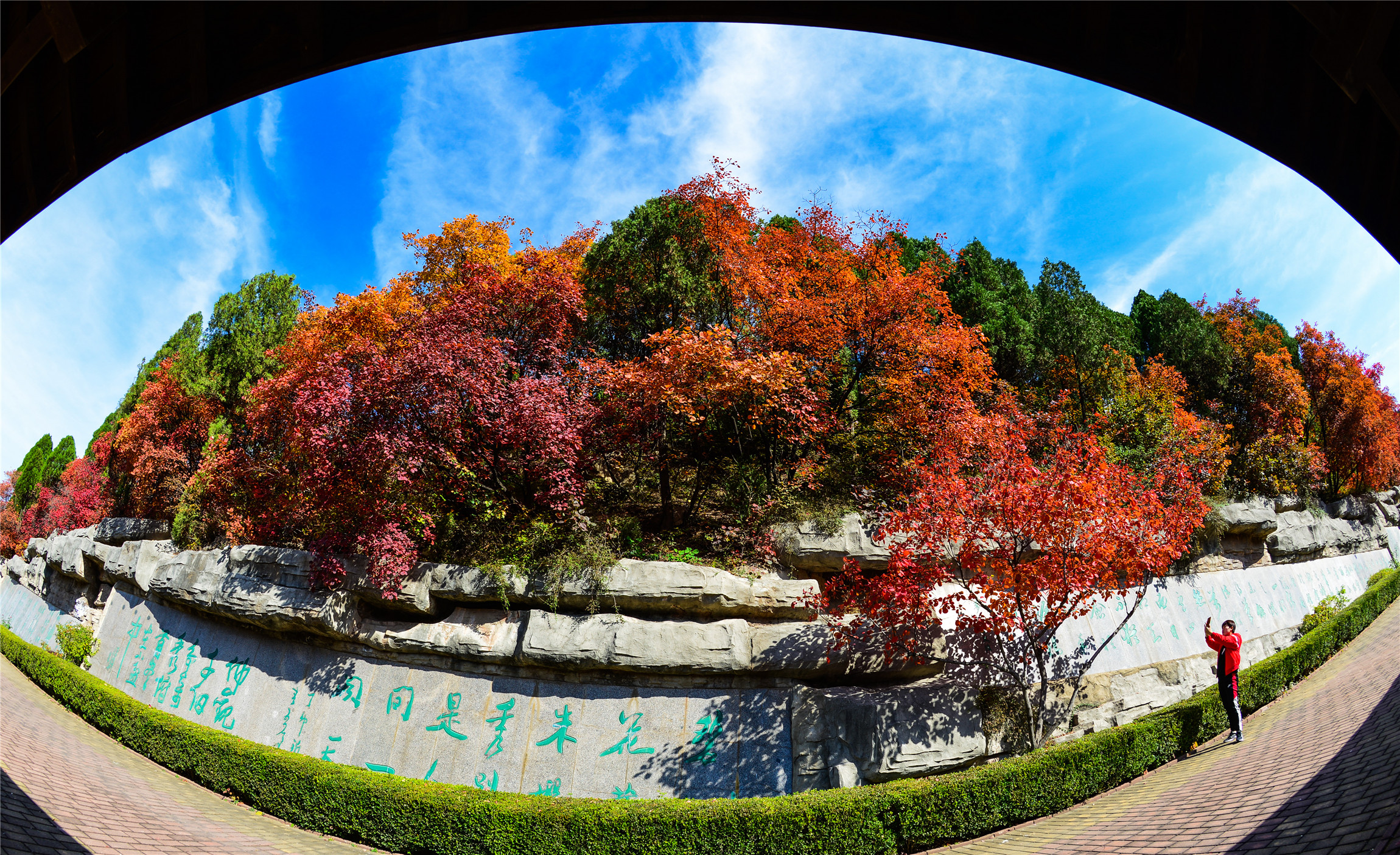 二十届济南红叶谷红叶节开幕,济南红叶谷今年最佳观赏红叶时间