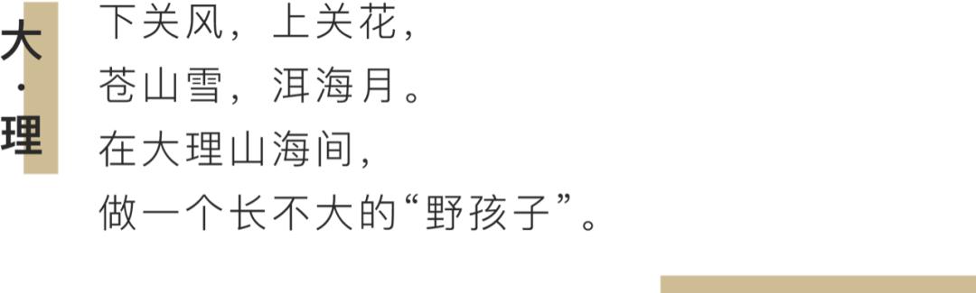 他们的歌声唱哭了周迅！这支隐居大理的殿堂民谣乐队要出圈了吗