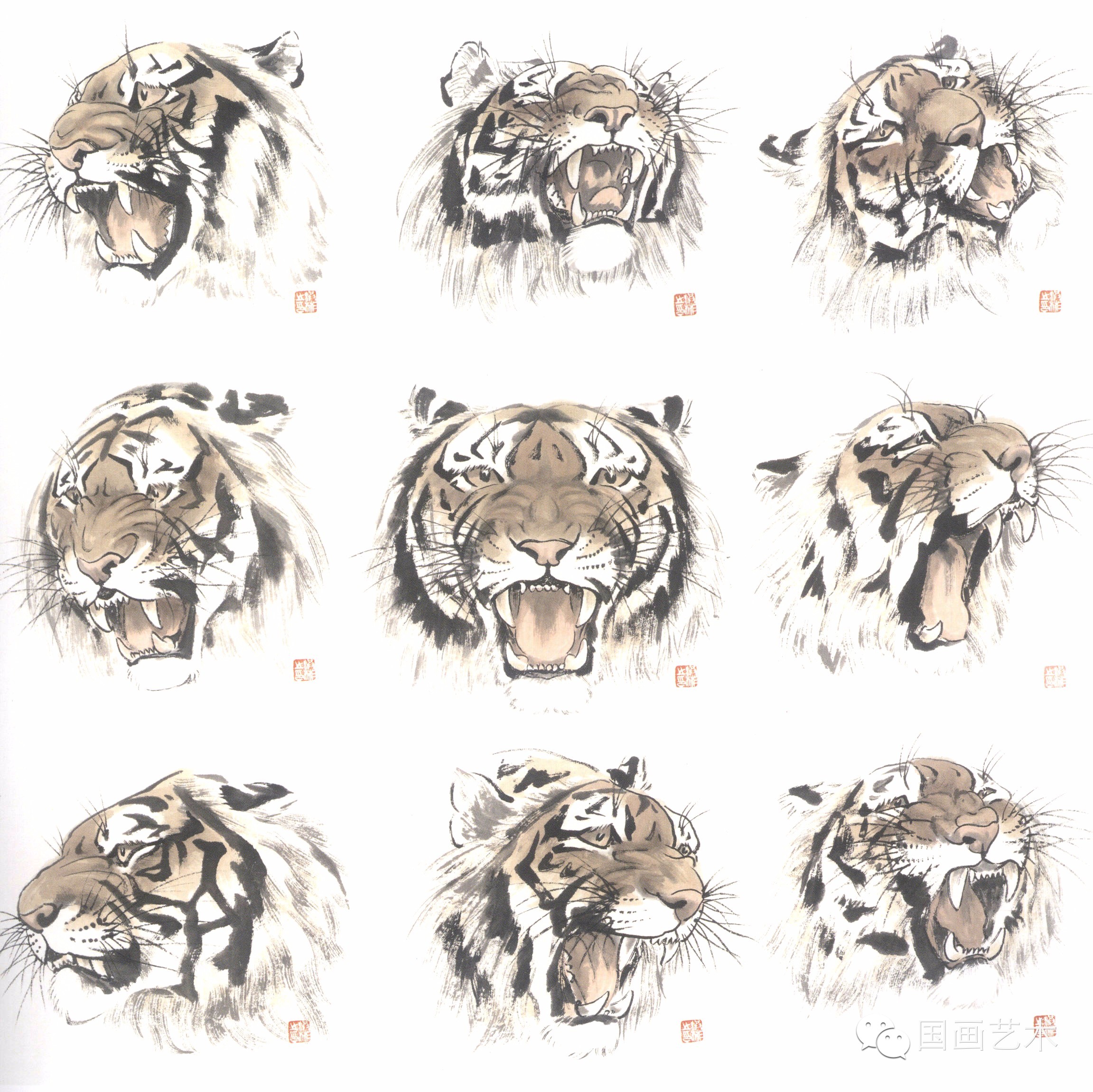 写意画虎教程,写意虎的十种方法