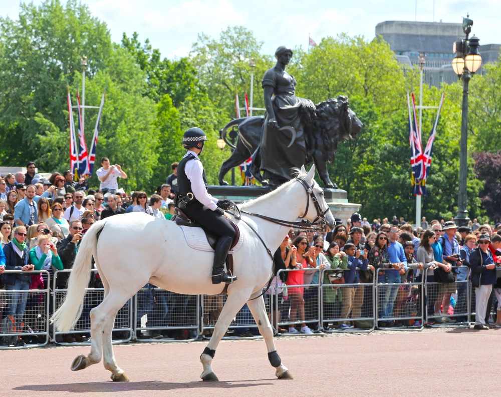 如何欺负一个人,怎样欺负一个人
