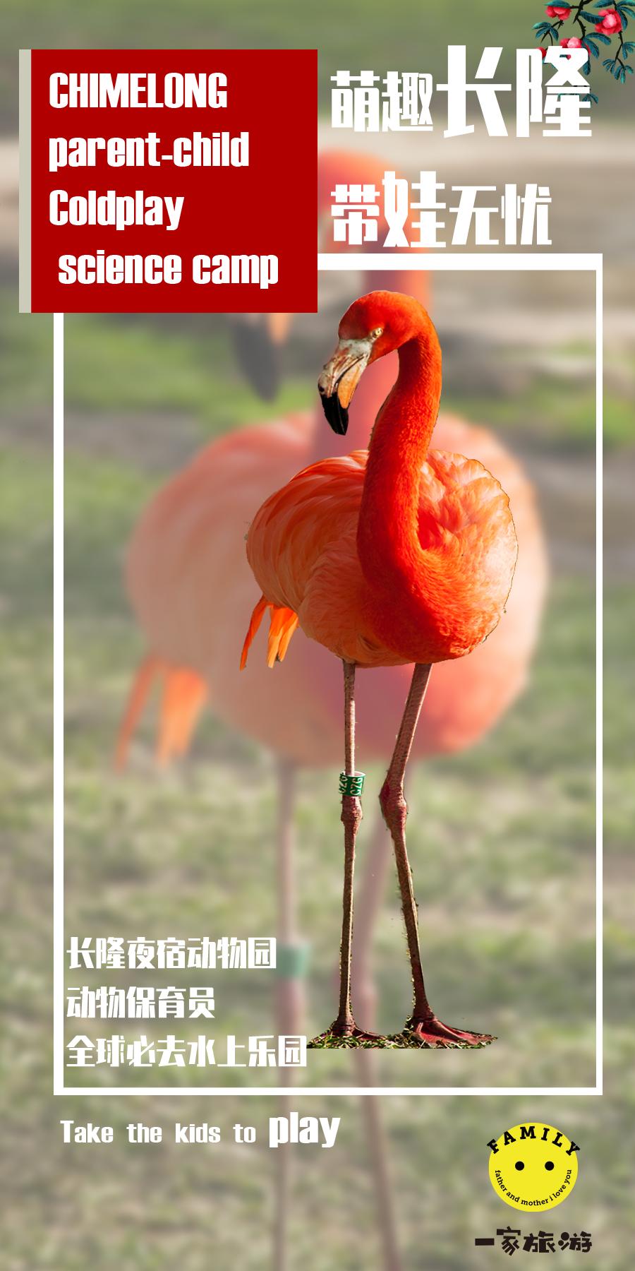 广州长隆儿童欢乐世界春节,广州长隆欢乐世界春游儿童玩什么