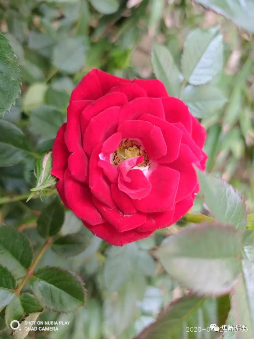 努比亚play和红米note10pro哪个好,努比亚play详细细节测评