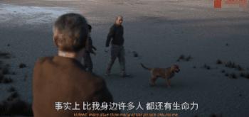 爱死机1豆瓣,豆瓣从9.6到4.1