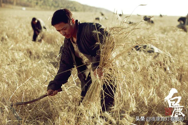 田小娥：“我该何去何从？”——《白鹿原》