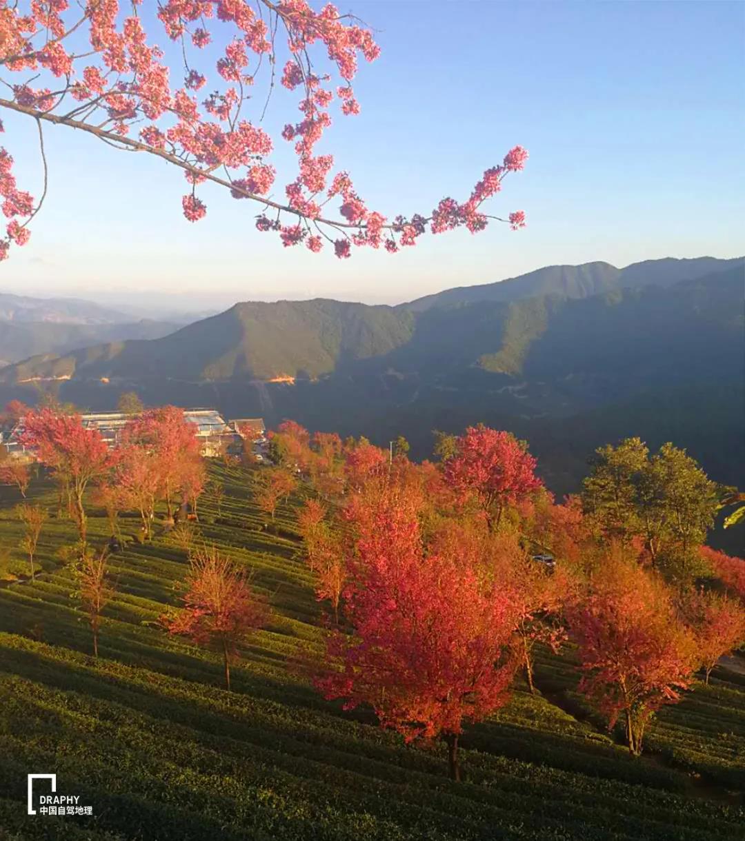 2021云南自驾游10日攻略,云南秋季自驾5条最佳线路图