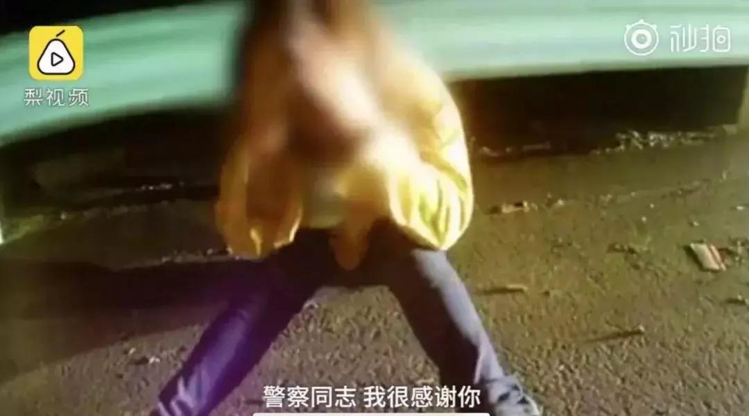 男子开车在路上遛马,男子开车在路上溜马