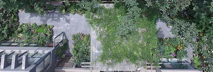 三年前买了套绿地110平三房130万,三年前耗资百万打造小院出售