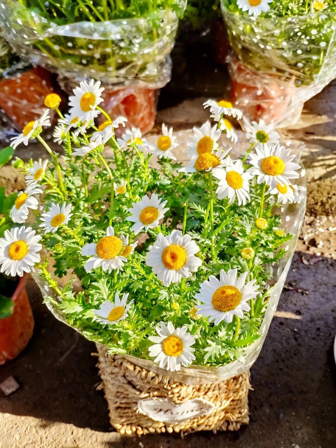 <html>
<head><title>502BadGateway</title></head>
<body>
<center><h1>502BadGateway</h1></center>
<hr><center>nginx</center>
</body>
</html>
<!--apaddingtodisableMSIEandChromefriendlyerrorpage-->
<!--apaddingtodisableMSIEandChromefriendlyerrorpage-->
<!--apaddingtodisableMSIEandChromefriendlyerrorpage-->
<!--apaddingtodisableMSIEandChromefriendlyerrorpage-->
<!--apaddingtodisableMSIEandChromefriendlyerrorpage-->
<!--apaddingtodisableMSIEandChromefriendlyerrorpage-->
