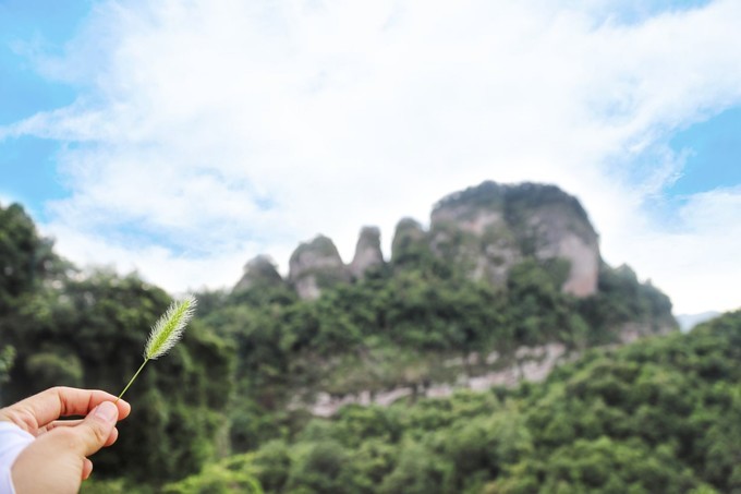 梅州采茶,梅州采茶体验