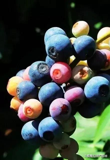 习惯性讨好的人，教你摆脱这种状态