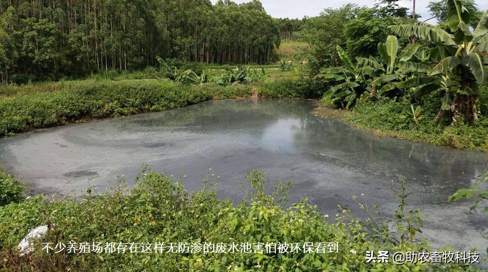 养殖废水浓缩处理方法,小型养殖场废水处理方案