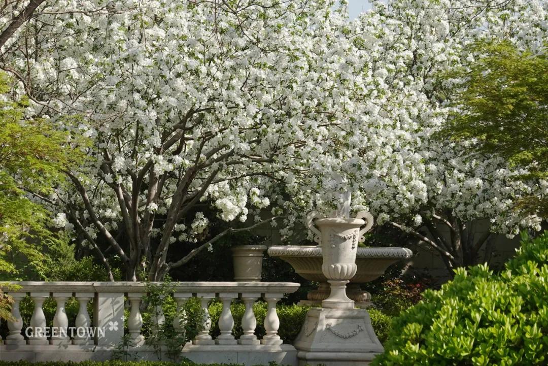 绿城印象南宁市江南区,绿城印象楼中楼