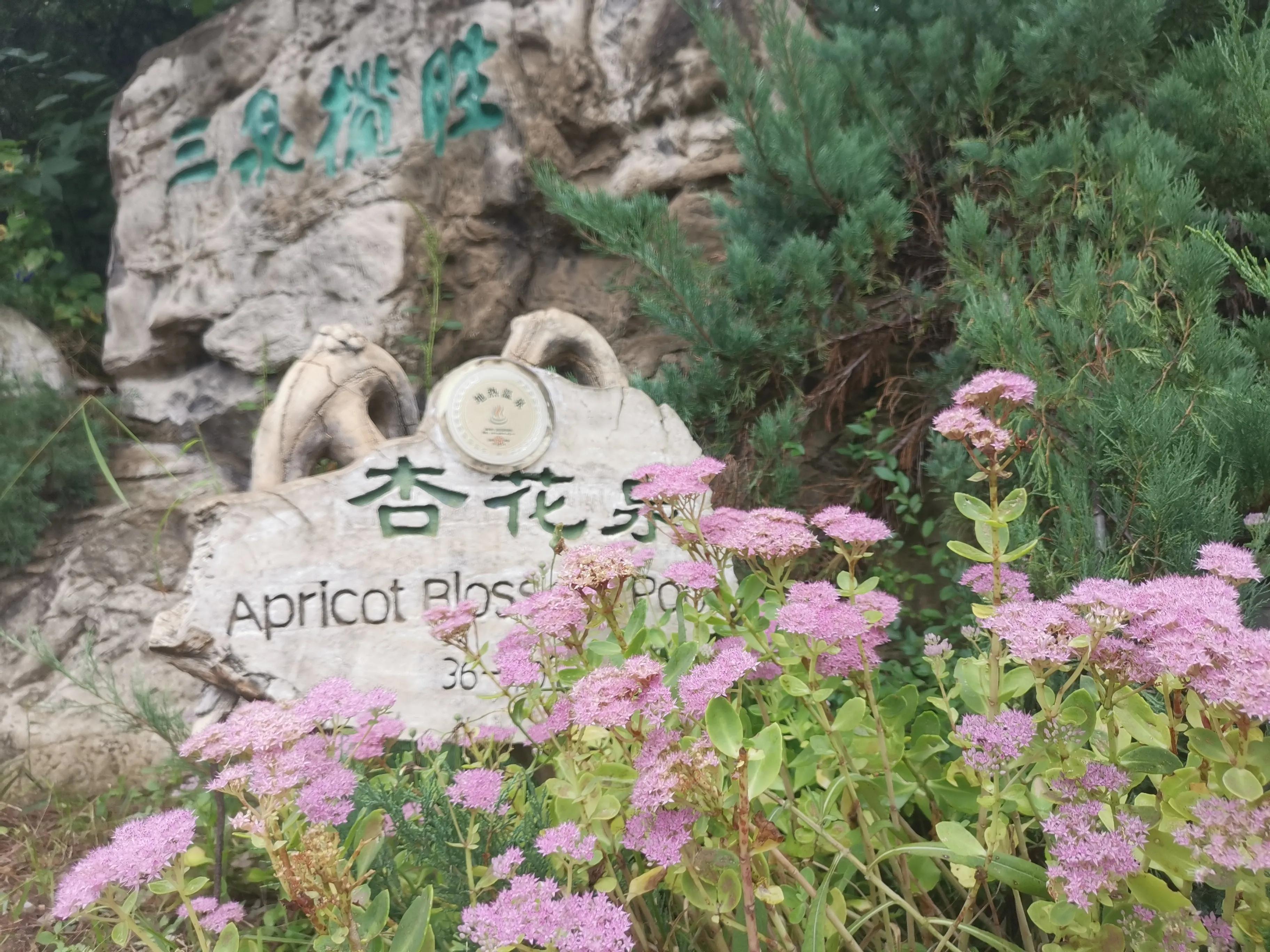 凤山温泉,北京金隅凤山温泉特色