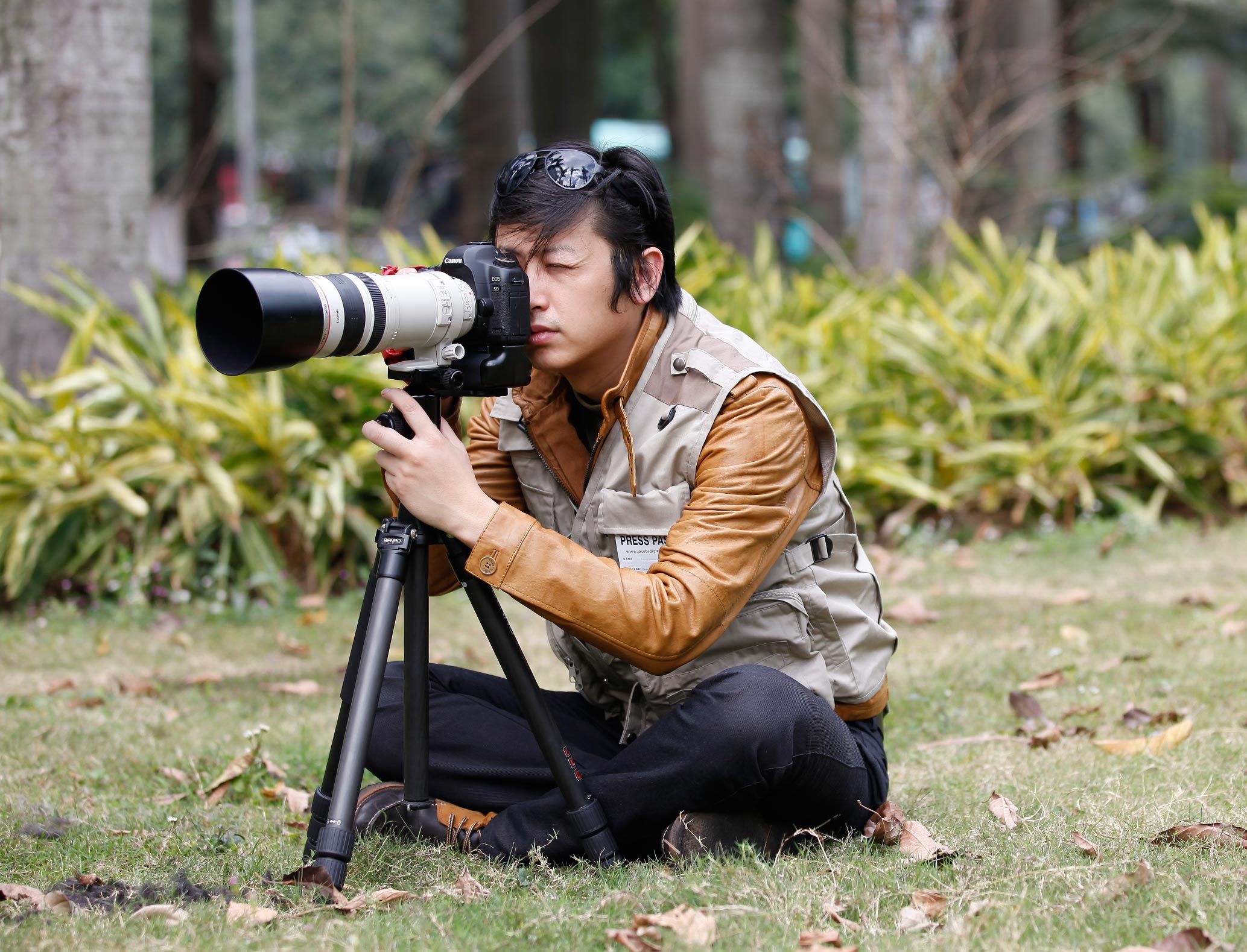 日本相机产业崩溃,相机为什么被日本垄断了