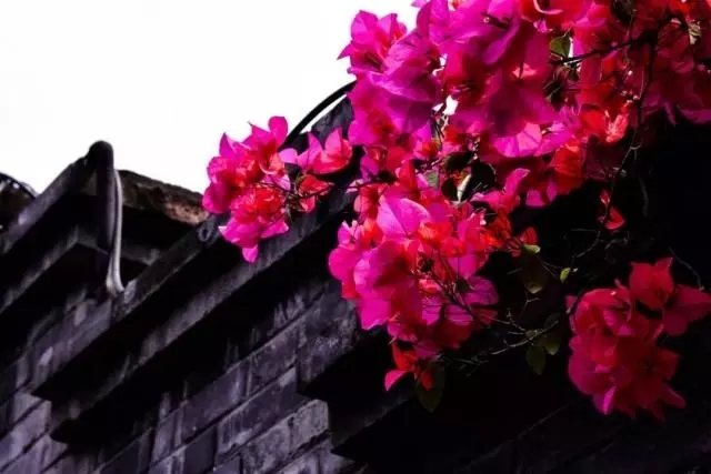 人生岁月感怀诗,孤独落寞伤感的五句诗