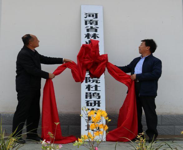 西泰山是什么样的,西泰山为啥叫西泰山