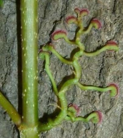 部编版小学四年级语文上册第三课,部编版四年级上册语文第三课练习