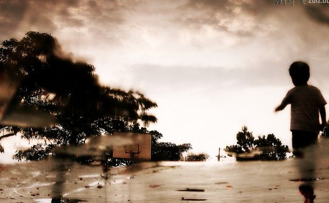 十二生肖传奇虎斗龙,虎斗龙演示