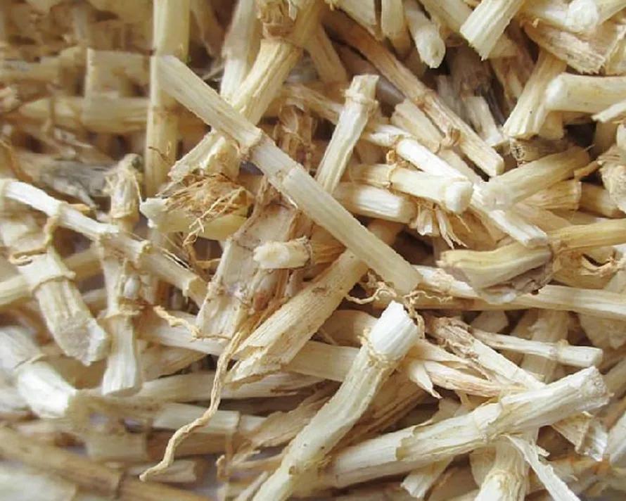 杜甫草堂简介及作用,杜甫草堂和武侯祠哪个需要讲解