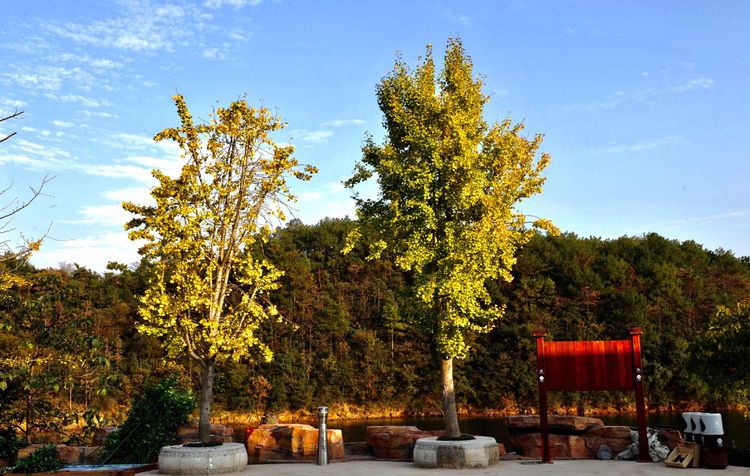 庐山西海沧海桑田岛,庐山西海之岛美景