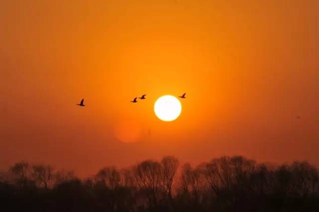 朱自清匆匆配乐,朱自清匆匆感悟
