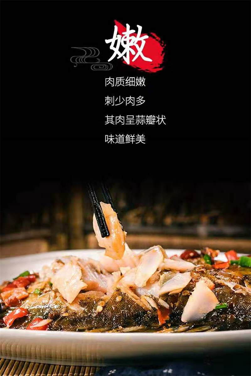 1斤重的臭桂鱼批发多少钱,安徽臭桂鱼批发价多少