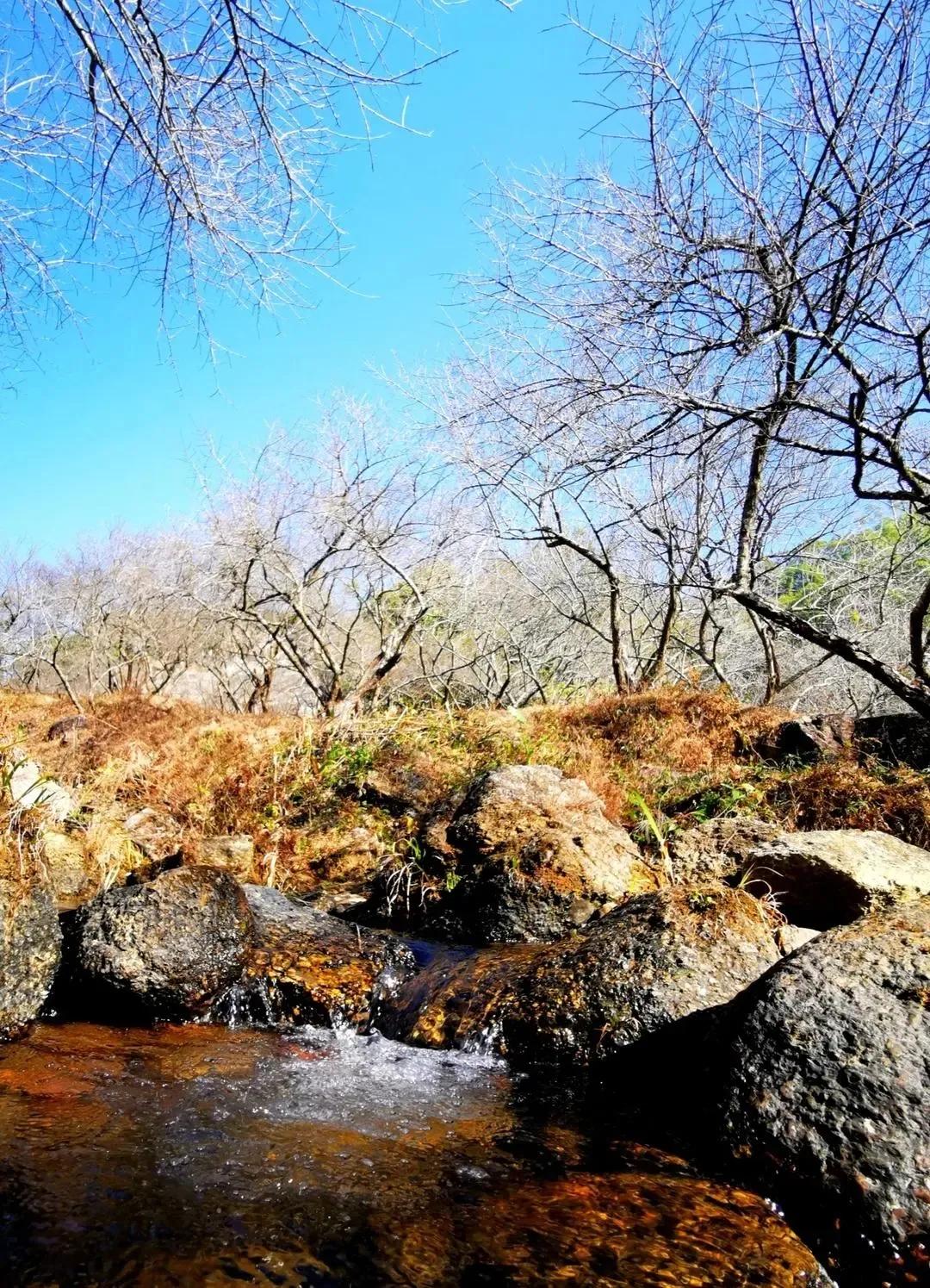 惠东忘山居民宿,惠东特色亲子民宿有哪些