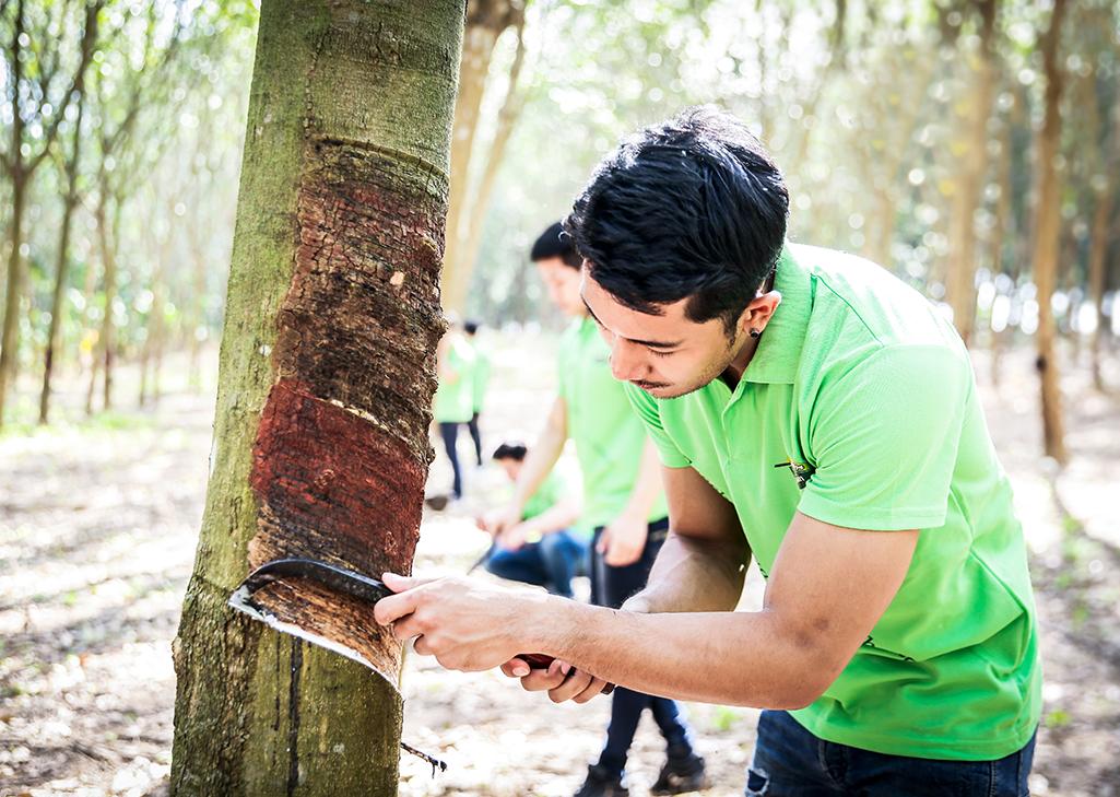 乳胶枕是最好的枕头吗,乳胶枕比传统枕头好吗