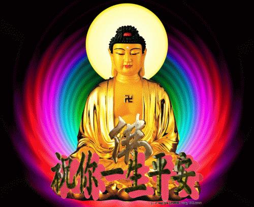 感恩世间的一切广结善缘,感恩世间所有的缘完整版