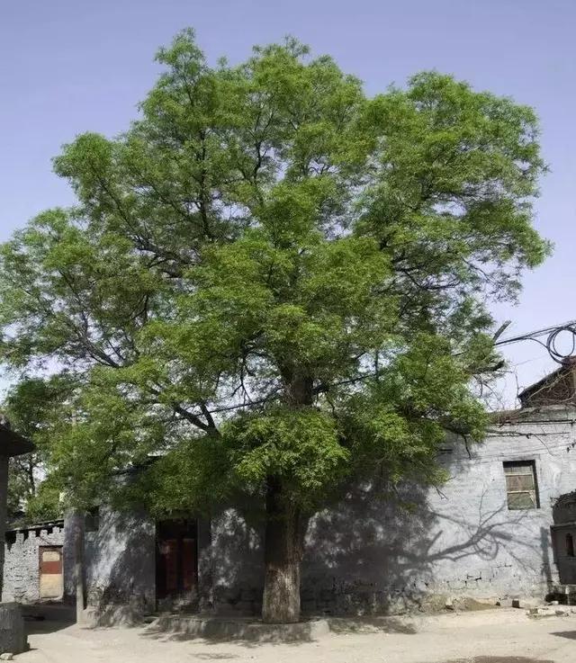 武安名字的由来和历史,武安地名的由来