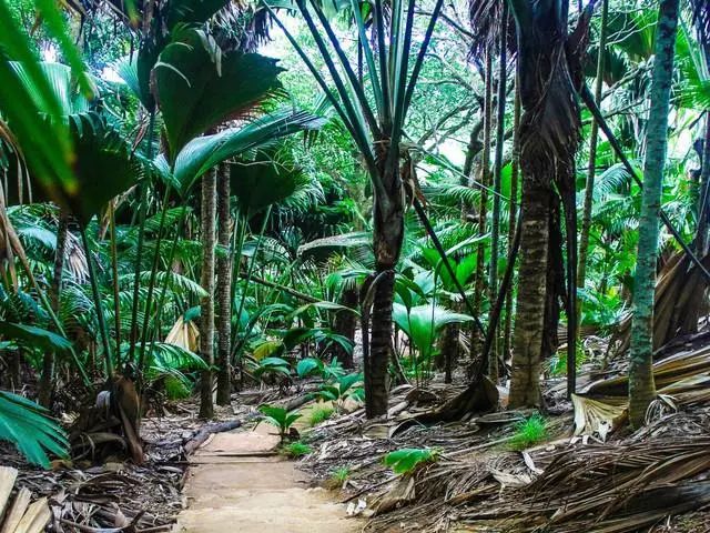 消费低免签国家,推荐几个消费超低免签的几个国家