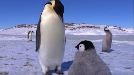 这6部电影足以秒杀大部分电影,十部必看旅行纪录片人文纪录片