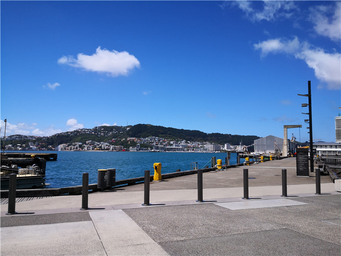 新西兰总理府前吃素食