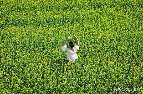 大连英歌石花海,大连十大最美花海