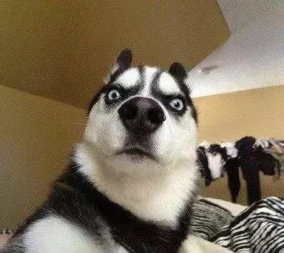 留学国外生活真实记录,海外留学情感经历