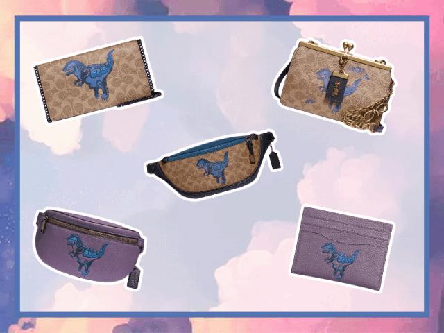 coach2019年春季,coach最值得入手的几款包